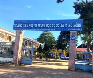 Hiệu trưởng lập khống hồ sơ, bán cây xanh, cho dạy thay chỉ bị yêu cầu 'nghiêm khắc tự kiểm điểm'