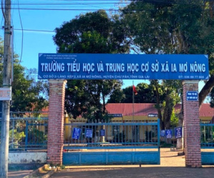 Ảnh minh họa
