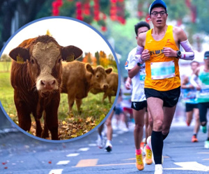 Kỳ lạ giải marathon trao tặng gà, bò cùng nhiều đồ lạ cho người về nhất