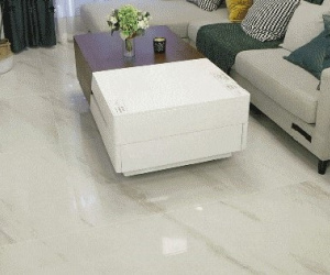Người xưa dặn: Phòng khách có 3 thứ này, gia chủ phất lên giàu sang - con cháu đời đời hưởng phúc