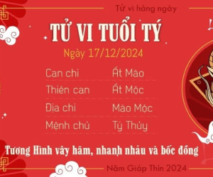 Tử vi 12 con giáp hôm nay - thứ 3 ngày 17/12/2024: Thìn áp lực, Hợi vượng khí