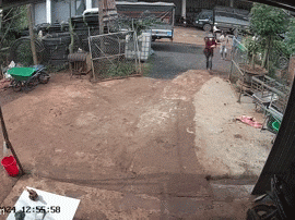Hãi hùng đoạn clip 3 học sinh Đắk Lắk mặt bê bết máu, gào khóc chạy đi tìm người giúp đỡ