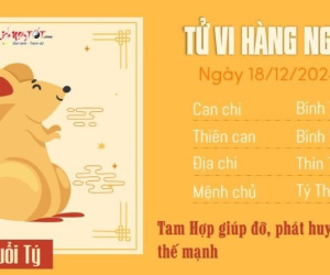 Tử vi 12 con giáp hôm nay - thứ 4 ngày 18/12/2024: Sửu thận trọng, Tuất hưởng lợi