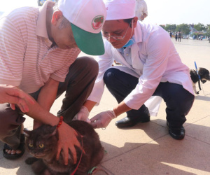 Chủ quán thịt chó mắc bệnh dại, lúc lên cơn đã bỏ chạy ra ngoài đập cửa nhà dân