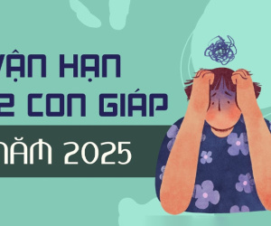Cảnh báo vận hạn của 12 con giáp năm 2025: Nguy cơ nào luôn rình rập bạn?