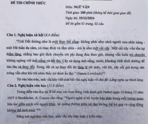 Đề thi học sinh giỏi quốc gia môn Ngữ văn gây tranh cãi vì 'khó hiểu, đánh đố'