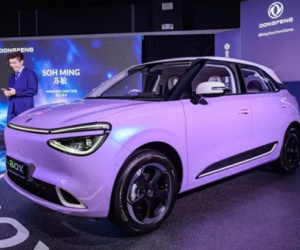 Dongfeng Box lộ giá bán tại Việt Nam, rẻ hơn BYD Dolphin?