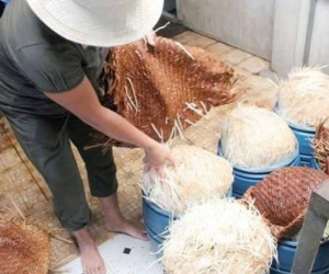Mua giá đỗ ngâm hóa chất ở Bách Hoá Xanh, người dân có đòi được quyền lợi?