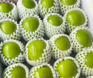 Loại trái cây đắt đỏ bậc nhất thị trường, VN cũng trồng được loại tương tự nhưng giá chỉ vài chục nghìn/kg