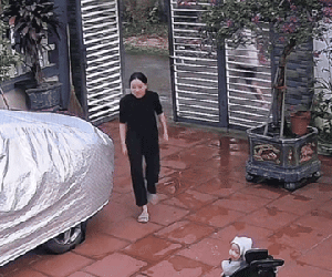 Chồng trẻ Hà Nội làm điều bất thường trong sân nhà, ai ngờ khiến cả gia đình bỗng dưng nổi tiếng