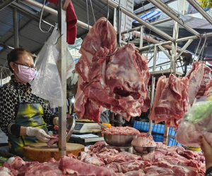Khó kìm giá thịt heo Tết