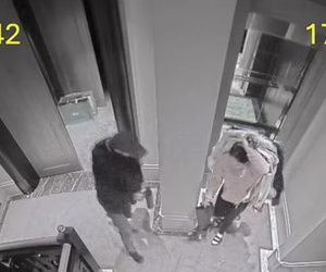 Truy tìm tên trộm đột nhập nhà cô gái, lấy đi số tài sản hơn 300 tỷ đồng