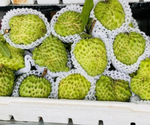 Ảnh bìa bài viết 971917