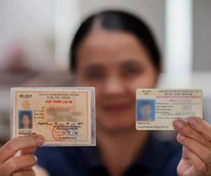 Bằng lái bị trừ hết 12 điểm, phải làm gì để phục hồi?