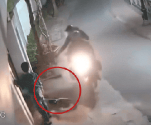 Camera ghi lại cảnh hai kẻ trộm chó ngay trước mặt bé trai, bất ngờ nói ra 2 chữ càng khiến nhiều người giận run