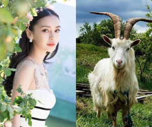 Phúc lộc tề tựu, đúng 10 ngày tới 3 tuổi này được Thần Tài trải thảm, rinh thưởng triệu đô!