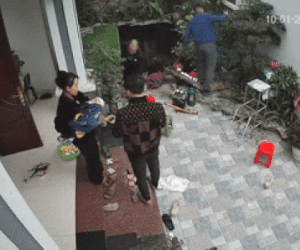 Cắt tỉa cây cảnh đón Tết, người đàn ông không may gặp sự cố khiến tất cả rùng mình... vì lạnh