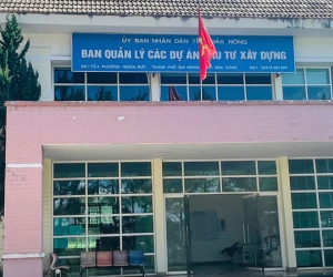 Cho thôi việc một phó giám đốc dùng bằng đại học không hợp pháp