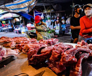 Giá thịt lợn vọt lên đỉnh, hàng lậu đổ về chợ Việt, cảnh báo lợn ăn ‘chất cấm’