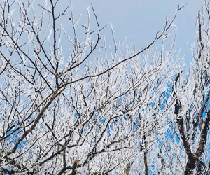 La Nina đang hoạt động, thời tiết cực đoan diễn biến khó lường