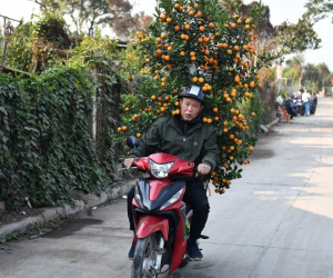 Dự báo thời tiết ngày 21/1/2025: Miền Bắc giá rét, miền Nam có mưa rào