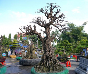 Ảnh bìa bài viết 974348