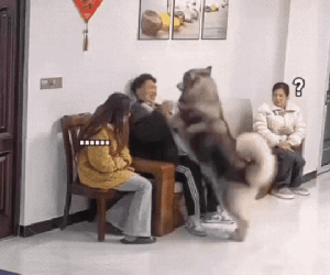 Màn ra mắt nhà bạn gái khiến 1 người rơi lệ, 5 triệu người ngồi cười