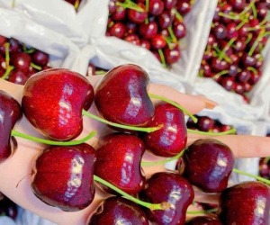 Cherry đắt đỏ vẫn ‘cháy hàng’, bất ngờ với 'sầu riêng giải cứu' 50.000 đồng/kg