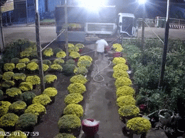 Vụ nhóm người liều lĩnh lái xe tải đi trộm hoa Tết lúc 2h sáng: Nam thanh niên nghi liên quan được phát hiện tử vong dưới sông?