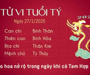 Tử vi 12 con giáp hôm nay - thứ 2 ngày 27/01/2025 (28 Tết): Tý đào hoa, Thìn hạnh phúc