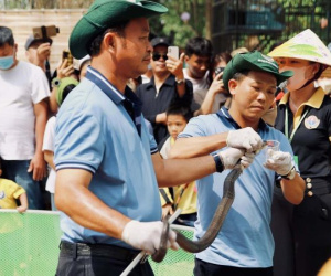 Trải nghiệm 'thót tim' dịp tết Ất Tỵ ở trại rắn lớn nhất miền Tây
