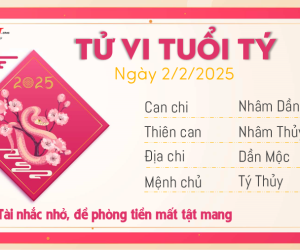 Tử vi Chủ nhật 2/2/2025 của 12 con giáp: Ngọ vượng tài, Hợi gặp vận xui