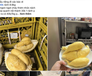 Giật mình với ‘vua trái cây’ ở chợ, hàng thượng hạng giá chỉ 40.000 đồng/kg