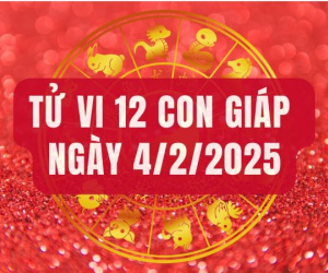 Tử vi 12 con giáp hôm nay - thứ 3 ngày 04/02/2025: Mão chán nản, Dậu thăng tiến
