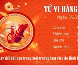 Tử vi 12 con giáp hôm nay - thứ 2 ngày 03/02/2025: Mão may mắn, Mùi thoát đời độc thân
