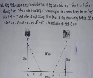 Bài Toán với dữ liệu đang khiến dân tình cười nghiêng ngả: Ông Vinh bị rắn cắn, chất độc lan vào máu nhưng ông chạy từ rừng ra biển!