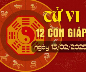 Tử vi thứ 5 ngày 13/2/2025 của 12 con giáp: Mão buôn bán tốt, Tý dễ thương