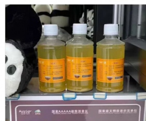 Ảnh bìa bài viết 976808