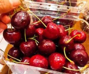 Người Việt lần đầu được ăn cherry dưới 100.000 đồng/kg