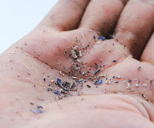 1 loại nước chứa hàng tỷ hạt vi nhựa nhưng nhiều người Việt vẫn uống mỗi ngày mà không biết mối nguy hại