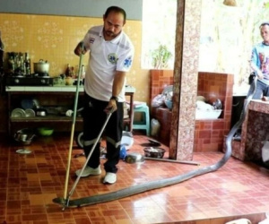 Đang ăn cơm, người phụ nữ sợ hãi bỏ chạy khi thấy rắn hổ mang chúa dài 4 mét