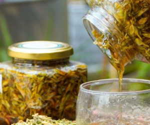 Mật ong ngâm hoa đu đủ đực có chữa được ung thư?