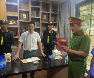 Vụ hơn 500 căn biệt thự trái phép ở Đồng Nai: Truy tố nguyên lãnh đạo Công ty LDG và nhiều cán bộ
