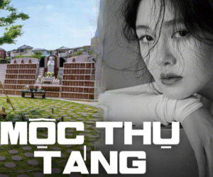 Mộc thụ táng - Hình thức chôn cất theo di nguyện của Từ Hy Viên được thực hiện như thế nào?
