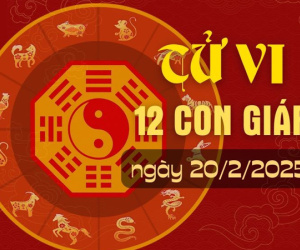 Tử vi thứ 5 ngày 20/2/2025 của 12 con giáp: Dần khó chịu, Tý gặp hung hóa cát