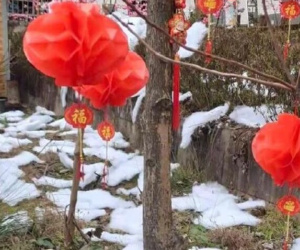Khu du lịch Trung Quốc xin lỗi vì dùng vải len trắng làm tuyết giả