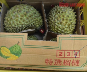 Sầu riêng gặp khó, Trung Quốc giảm nhập rau quả Việt Nam 40%