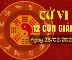 Tử vi 12 con giáp hôm nay - thứ 3 ngày 25/02/2025: Dần khó khăn, Thân đón tin mừng