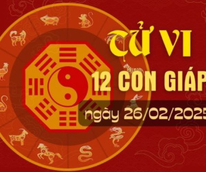 Tử vi 12 con giáp hôm nay - thứ 4 ngày 26/02/2025: Dần khôn khéo, Thân vất vả