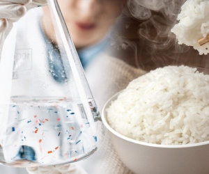 Một thực phẩm lành mạnh nhưng chứa nhiều vi nhựa: Người Việt đang ăn ngày 3 bữa